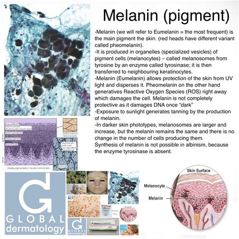 melanin pigment